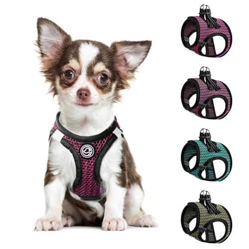 Chihuahua Hundegeschirr Comfort Mesh Hunde, Vesr Geschirr, Extra Kleines Haustiergeschirr für Chihuahua, Weich Gepolstertes Geschirr Atmungsaktiv, Leicht, Verstellbares Welpengeschirr für Katze, von shifenmei