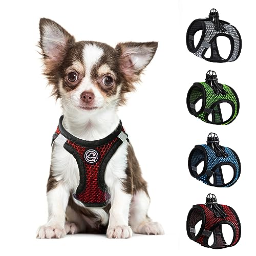 Hundegeschirr für Kleine Hunde No Pull Chihuahua Geschirr Welpengeschirr für Kleine Hunde Step in Geschirr für Kleine Hunde Kleine Hunde Hundegeschirr Mesh Hundegeschirr (Rot, XXXS) von shifenmei