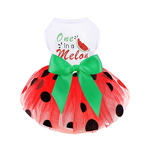 Hundekleid Hundekleider für kleine Hunde Mädchen Mesh Welpen Kleid Sommer Hundekleidung Yorkie Chihuahua Teetasse Outfits Kleidung Bekleidung Haustier Katze Prinzessin Kleid Hund Geburtstag Shirts von shifenmei