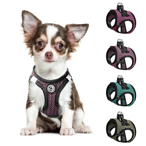 Step in Hundegeschirr Comfort Mesh Dog Vesr Harness Extra Small Pet Harness for Chihuahua Weich Gepolstertes Geschirr Leichtes Welpengeschirr für Katze Doggie Outdoor Walking (Rosa, XXX-Small) von shifenmei