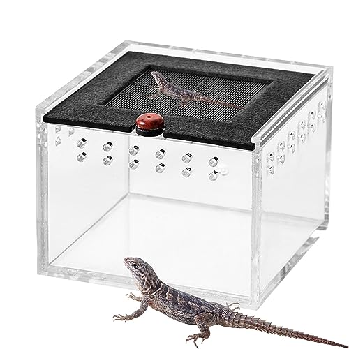 Reptilien-Zuchtbox – Eidechsenkäfig, Eidechsenkäfig, Reptilien-Terrarium und Gehege, Haustiergehege, tragbarer Tier-Lebensraumkäfig, Reptilien-Futterkäfig, Acrylbox für Spinne von shizuku