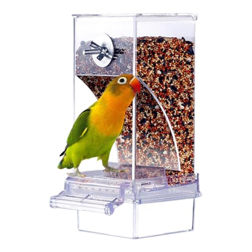 Bird Food Feeder, No Clutter Parrot Feeder, Bird Cage Automatic Feeder, Bird Cage Accessories, Easy Clean Bird Feeder, Clear Large Capacity Automatic Seed Feeder for Birds von shjxi