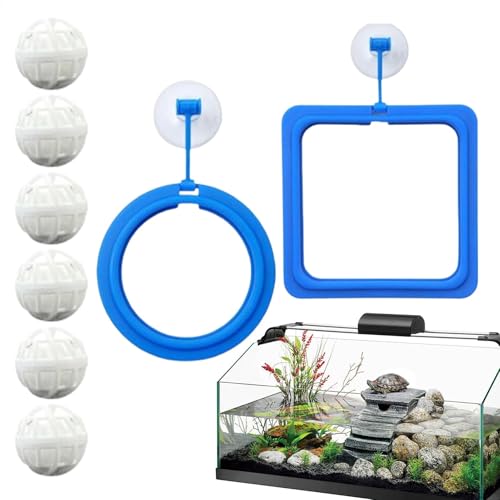 Fish Feeding Ring | 2-Pack Aquarium Floating Food Feeder Rings | Includes 6 Nitrifying Balls with Suction Cups for Clean Water, Ideal for Turtle, Betta, Guppy, Small Fish von shjxi