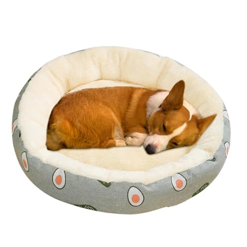 Rundes Hundebett | Hundebett klein | Donut-Hundebett | Rundes Plüsch-Haustierbett | Maschinenwaschbares Hundekissen, gemütliches weiches Nest für Welpen und Kätzchen, warmes Schlafbett, ideal für alle von shjxi