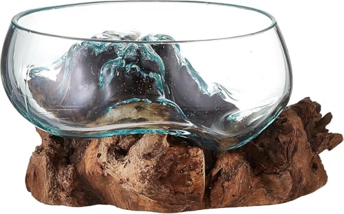 shrimpscity Mundgeblasene Glasschale auf Treibholz - Terrarium/Vase/Fischglas - Premium-Qualität - 20,3 cm breit x 14 cm hoch - Für Sukkulenten, Luftpflanzen und Beta-Fische von shrimpscity