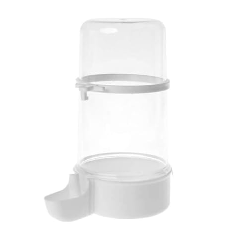 siduytin Vogel Wasser Trinker Feeder Ungiftiger Kunststoff Für Vogel S Trink Bedürfnisse Haustier Vogel Liefert Dispenser Flasche Trinkbecher, transparent von siduytin