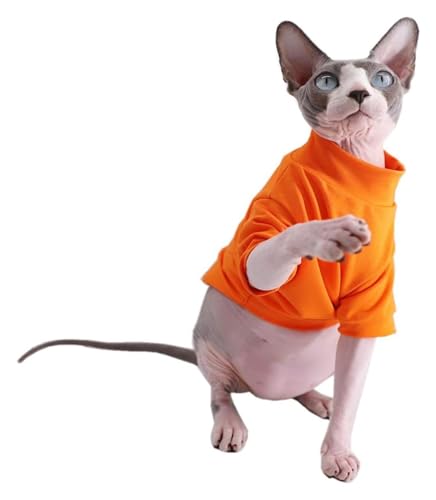 Sphynx Haarlose Katzen Kleidung Baumwoll-T-Shirts for haarlose Sphynx-Katzen, Haustierkleidung, Pullover, Kätzchen-T-Shirts mit Ärmeln, Bekleidung for Katzen und kleine Hunde, einfarbig, Schwarz (Col von skeppy