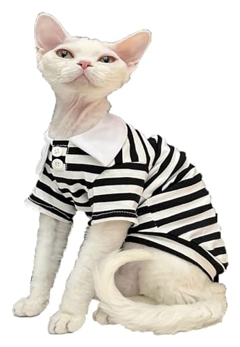 Sphynx Haarlose Katzen Kleidung Sphynx-Katzen-Sommerkleidung, modische Polo-Kragen-Baumwoll-T-Shirts, Streifen-Shirt, atmungsaktive, weiche Kätzchen-Shirts mit Ärmeln, Katzenbekleidung (Color : Black von skeppy