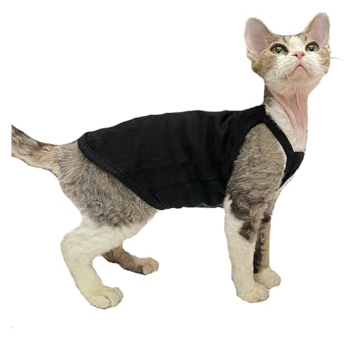 Sphynx Haarlose Katzen Kleidung Sphynx Katzenkleidung Sommer dünne einfarbige Baumwollweste Sieben Farben atmungsaktive haarlose Katzenweste Pullover Träger Tank Tops Katzenbekleidung Pyjamas (Color von skeppy