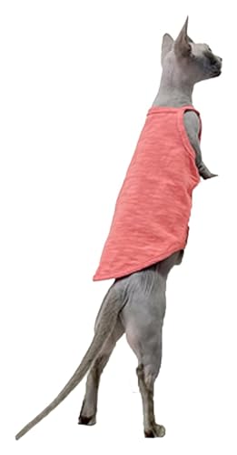 Sphynx Haarlose Katzen Kleidung Sphynx Katzenkleidung Sommer dünne einfarbige Baumwollweste Sieben Farben atmungsaktive haarlose Katzenweste Pullover Träger Tank Tops Katzenbekleidung Pyjamas (Color von skeppy