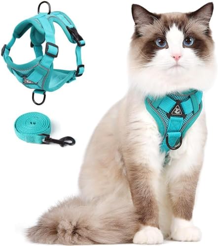 Cat Harness and Leash Set, Upgraded Escape Proof Adjustable Vest with Lead for Kitten Puppy Outdoor Walking, Soft Breathable Mesh Jacket with Reflective Strips for Dark Night, M Emerald Green von skmeditec