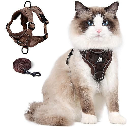 Cat Harness and Leash Set Katzengeschirr mit Leinen Set, Ausbruchsicher Verstellbare Weste mit Leine für Das Spazierengehen mit Kätzchen im Freien, Weiche Netzjacke mit Reflektorstreifen (M, Braun) von skmeditec