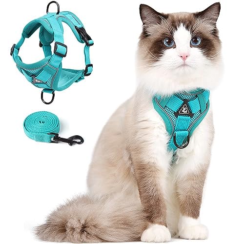 Cat Harness and Leash Set Katzengeschirr mit Leinen Katzenleine, Katzengeschirr Ausbruchsicher Verstellbare Weste mit Leine für Kätzchen im Freien, Weiche Netzjacke mit Reflektorstreifen (M, Grün) von skmeditec