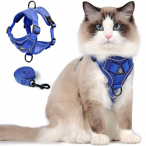 Cat Harness and Leash Set Katzen Geschirr Mit Leinen Katzenleine, Katzengeschirr Ausbruchsicher Verstellbare Weste mit Leine für Kätzchen, Weiche Netzjacke mit Reflektierenden Streifen (M, Blau) von skmeditec