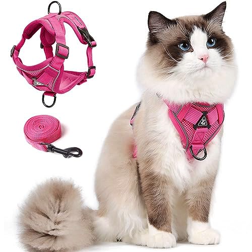 Cat Harness and Leash Set for Kitten, Upgraded Escape Proof Adjustable Vest with Lead for Small Cat Outdoor Walking, Soft Breathable Mesh Jacket with Reflective Stripes for Night… (M, Rose Pink) von skmeditec
