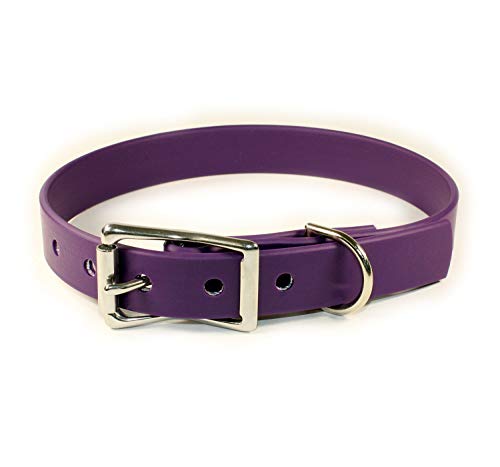 Hundehalsband, wasserdicht, Größe L, 45,7 - 55,9 cm, Violett von sleepy pup