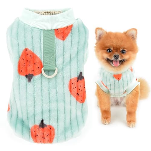 SMALLLEE_LUCKY_STORE Hunde-Fleecepullover für kleine Hunde und Katzen, Haustierpullover mit Erdbeerdruck und D-Ring, Welpenweste, Yorkie, Chihuahua, warme Kleidung, Winter Herbst Bekleidung, Grün, M von smalllee_lucky_store