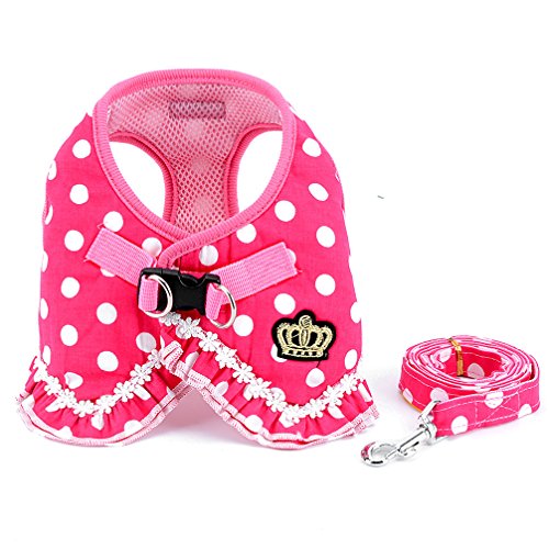 SMALLLEE_LUCKY_STORE Hundegeschirr-Set für kleine Hunde und Katzen, gepunktet, Netzstoff, gepolstert, Größe L, Rosa von smalllee_lucky_store