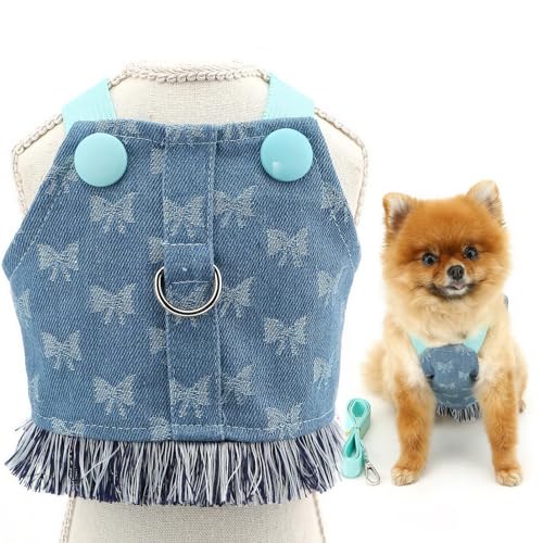 SMALLLEE_LUCKY_STORE Hundegeschirr aus Denim, Kleid und Leine, kein Ziehen, Welpengeschirr, Prinzessinnenrock mit D-Ring und Fransen, Sommerkleidung mit Schleife, Chihuahua, Yorkie, Bekleidung, von smalllee_lucky_store