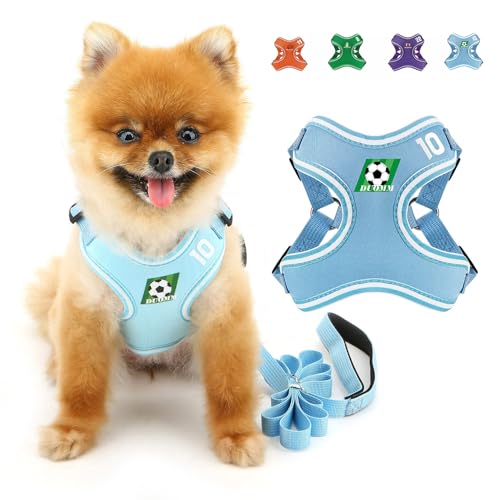 SMALLLEE_LUCKY_STORE Hundegeschirr und Leine, Set für kleine und mittelgroße Hunde, verstellbares Hundegeschirr mit Cartoon-bedrucktem Netzgewebe, ausbruchsicher, Welpenjacke für Katzen, Blau, Größe von smalllee_lucky_store