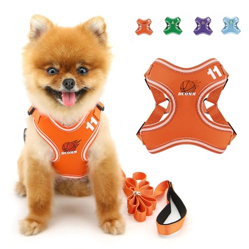 SMALLLEE_LUCKY_STORE Hundegeschirr und Leine, Set für kleine und mittelgroße Hunde, verstellbares Hundegeschirr mit Cartoon-bedrucktem Netzgewebe, ausbruchsicher, Welpenjacke für Katzen, Orange, Größe von smalllee_lucky_store