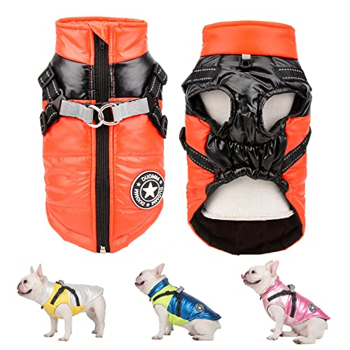 SMALLLEE_LUCKY_Store Pet Colorblock wasserdichte Winterjacke mit Geschirr D-Ring für kleine mittelgroße Hunde Katzen,Welpenmantel Chihuahua Yorkie französische Bulldogge warme Kleidung,orange,S von smalllee_lucky_store