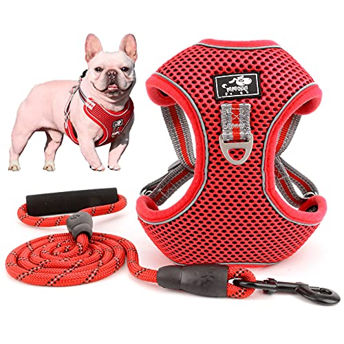 SMALLLEE_LUCKY_STORE Pet No Pull Step-in Puppy Harness and Leash Set for Small Medium Large Dogs Front Back Clip Reflective Soft Mesh Padded Adjustable Comfort Vest for Walking French Bulldog Harness von smalllee_lucky_store