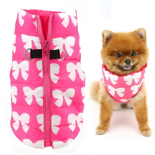 SMALLLEE_LUCKY_STORE Wasserabweisende Winterjacke für kleine Hunde und Katzen, mit Reißverschluss, gepolstert, Welpenmantel, Chihuahua, Yorkie, Kätzchen, warme Kleidung, Hot Pink, S von smalllee_lucky_store