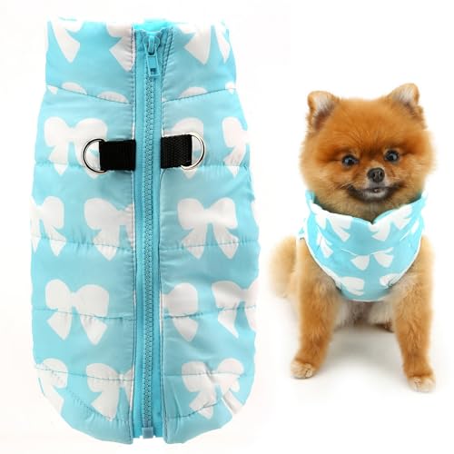 SMALLLEE_LUCKY_STORE Wasserabweisende Winterjacke für kleine Hunde und Katzen, mit Reißverschluss, gepolstert, für Chihuahua, Yorkie, Kätzchen, warme Kleidung, Blau, Größe L von smalllee_lucky_store