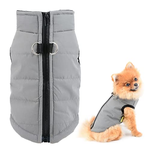 SMALLLEE_LUCKY_STORE Wasserdichte Winterjacke für kleine Hunde und Katzen, mit Reißverschluss, gepolstert, für Chihuahua, Yorkie, Kätzchen, warme Kleidung, Grau, Größe L von smalllee_lucky_store