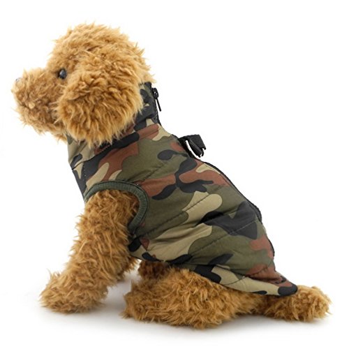 smalllee_lucky_store Hundejacke wasserdicht, Hundemantel, GeschirrWeste für kleine Hunde Katzen Haustiere hundebekleidung Chihuahua wintermantel Shih tzu von smalllee_lucky_store