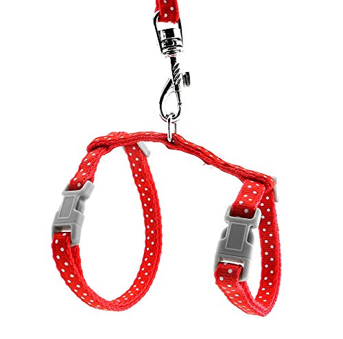 SMALLLEE_LUCKY_STORE Spielzeug Hund Katze Kätzchen Verstellbares Geschirr Halsband Kaninchen Geschir Elastischer Gehgeschirr Set für Kleintiere,Gepunktet,Rot von smalllee_lucky_store