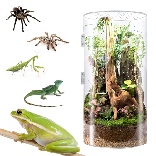 Smartang Gehege für Terrarium, springende Spinne mit Frontöffnung, 30,5 x 15,2 x 15,2 cm hoch, Vogelspinne, Terrarium mit Kreuzbelüftung, wasserdichtes Acryl-Reptiliengehege (30,5 x 15,2 x 15,2 cm) von smartang