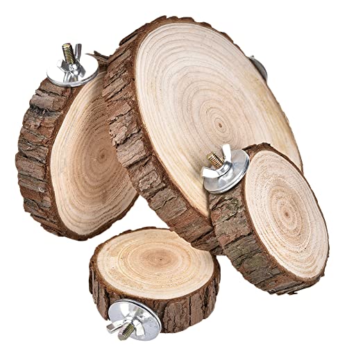 smashing Papageienbarsch | Logs Board Sittiche aus Holz für Käfig,Vogelkäfigständer, Kleintierspielzeug für Eichhörnchen, Rennmaus, Papagei, Haustier-Hamsterkäfig-Zubehör von smashing