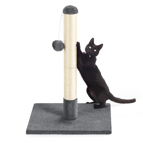 Katzenbaum für Katzen, 60 cm Hoch Kratzstamm mit Weiche Plüsch Spielbäll und Plattform, Stabil Katzen-Kratzbaum aus Natürlichem Sisalseil, Dunkelgrau von smusei