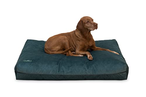 snuggle dreamer Hundekissen, 120cm x 90cm x 20cm, Aqua von snuggle dreamer