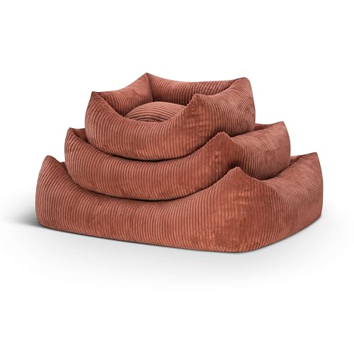 softwalls Orthopädisches Hundebett Cord - Hundekissen XXL - Hundekorb für große Hunde - Hundekorb - Hundecouch - Hundesofa | Lachs Rot (L) von softwalls