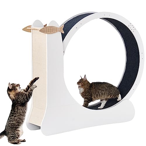 soges Katzenlaufrad für Heimtraining, Holz-Laufrad mit Kratzpad und Spielbereich für Katzen und Kleintiere, Durchmesser 105 cm von soges