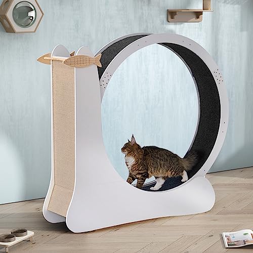 sogesfurniture Katzenlaufrad Holz, großes Laufrad für Katzen Laufen, Durchmesser 105cm, Super Leise Katzenrad Übungsrad für Heimtraining, mit großem Kratzbrett, Schneckenform von sogesfurniture