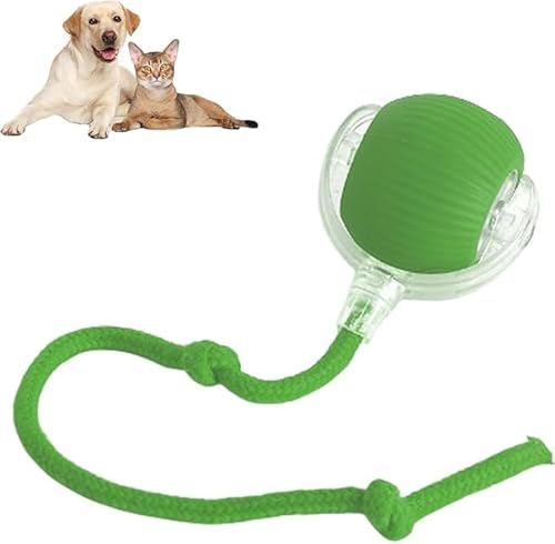 Interactive Rolling Dog Ball, Interactive Dog Smart Ball Toy, 360°Smart Automatic Rotating Rolling Ball for Dogs & Cats (Green) von soluk