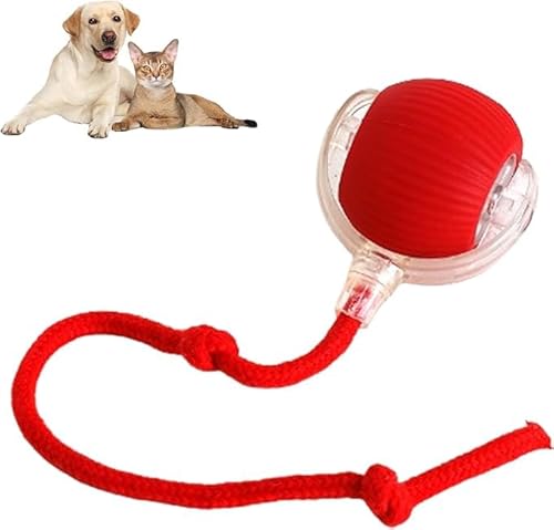 Interactive Rolling Dog Ball, Interactive Dog Smart Ball Toy, 360°Smart Automatic Rotating Rolling Ball for Dogs & Cats (Red) von soluk