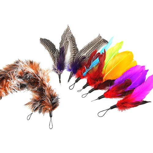 strimusimak 9 Pcs Multi Piece Replacement Feather Teaser Kitten Toy Interactive for Cat Wand von strimusimak