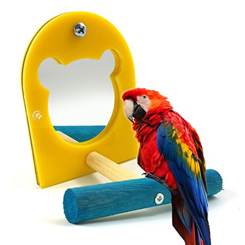 strimusimak Acrylic Mirror Pet Bird Parrot Toy Perches Paw Grinding Wood Standing Bar Rack von strimusimak