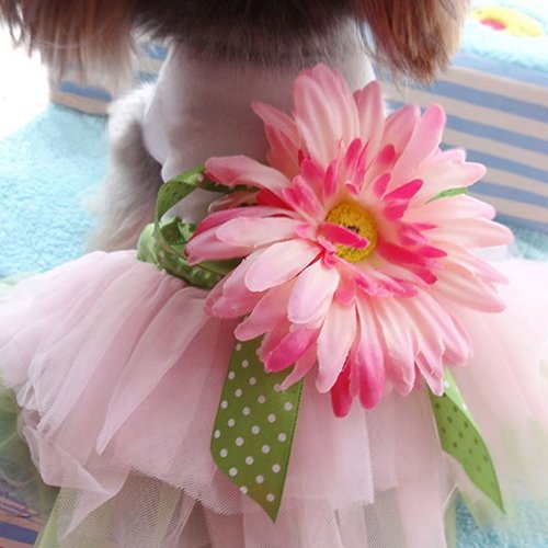 strimusimak Hund Kleid Rock Daisy Blume Gaze Tutu Welpen Katze Bowknot Prinzessin Kleidung Pet Geschenk M von strimusimak