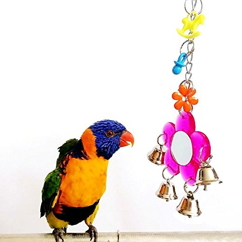 strimusimak Multi Color Parrot Chew Bell Flower Mirror Swing Parakeet Birds Hanging Play Toy - Random Color von strimusimak