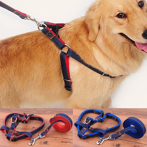 strimusimak Pet Dogs Walking Hand Grip Straps Pulling Harness Leash Dog Adjustable Belt - Red L von strimusimak