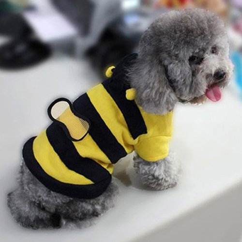 strimusimak Pet Hoodie Clothes Cute Fancy Puppy Apparel Costume Cat Dog Coat Outfit Bee Style - S von strimusimak