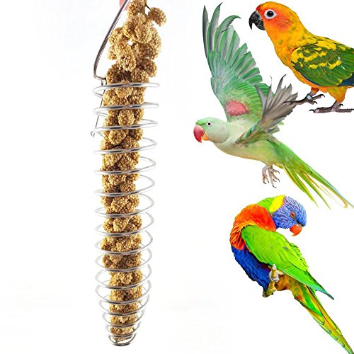 strimusimak Portable Stainless Steel Spiral Feeder Birds Parrot Pet Food Fruit Holder Toy - Silver von strimusimak