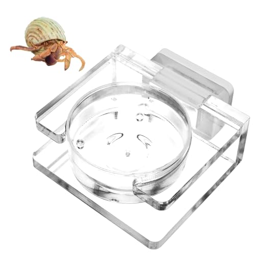 Vogelspinne-Wassernapf - Spinnen-Wasserschale | Futternapf Für Springspinnen | Magnetischer Futternapf | Magnetischer Futternapf Für Reptilien | Transparente Acrylschale Spinnen-Wassernapf von syayw