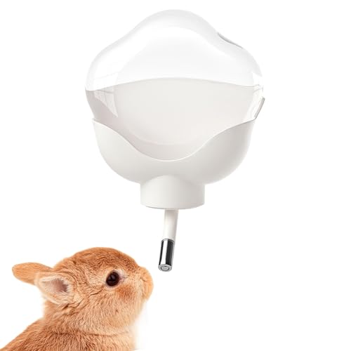 Hamster Wasser Spender,500Ml Klar & Auslaufsicherer Trinkbehälter | Kleintier Trinkflasche,Für Käfig Pflege Zuhause Fütterung Hydration Kleintier Alltag Reisen Hamster Wasser Spender,500Ml Klar & Auslaufsicherer Trinkbehälter | Kleintier Trinkflasche,Für Käfig Pflege Zuhause Fütterung Hydration Kleintier Alltag Reisen von szaluyk